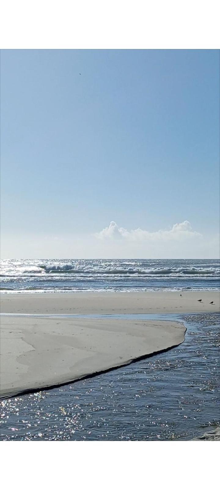 Atico Maravilloso En Cangas , Vigo Zimmer foto